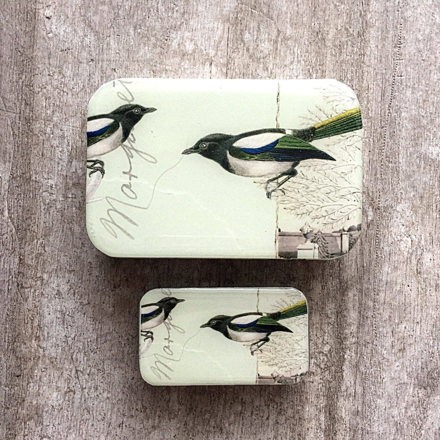 Firefly Notes Magpie Notions Tin
