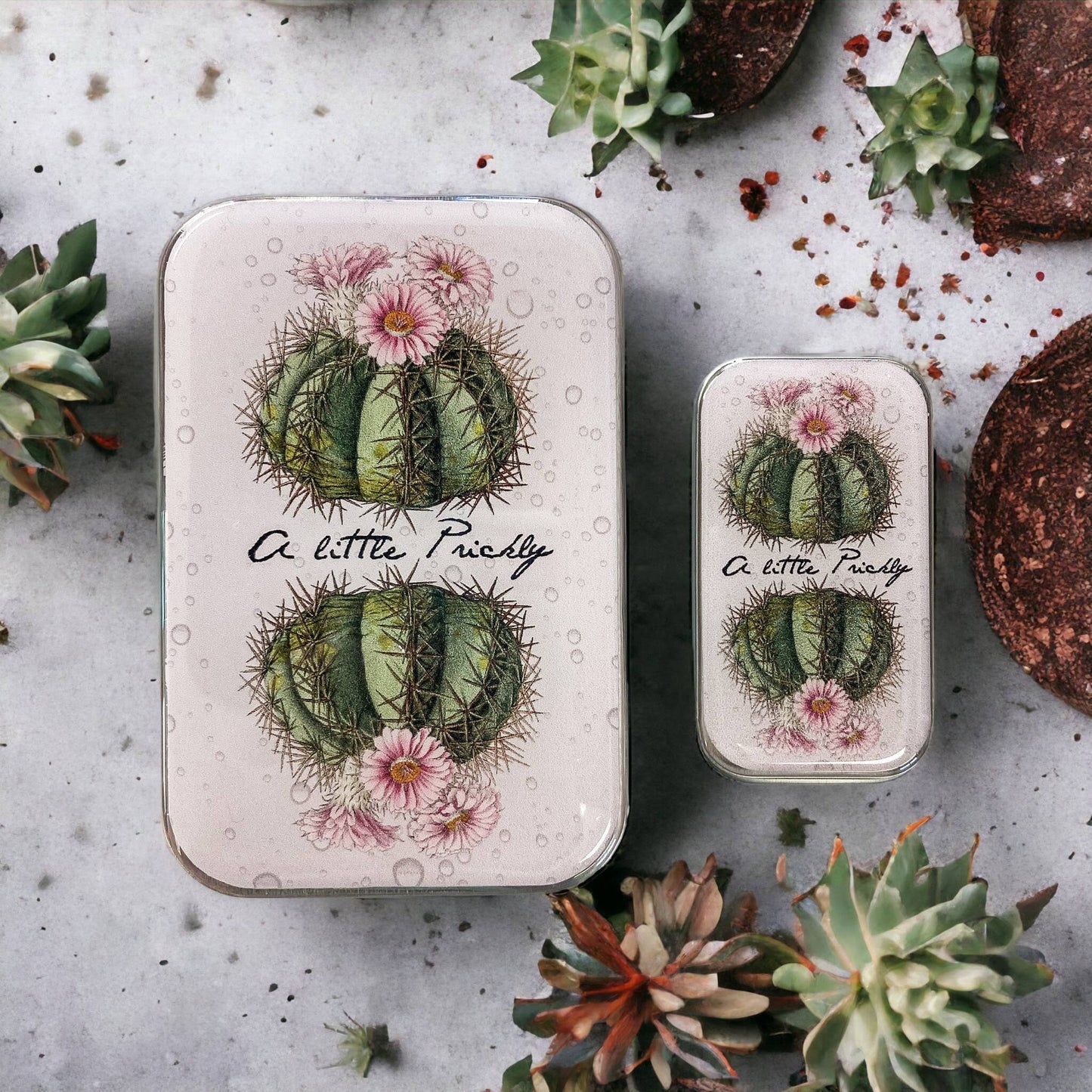 Firefly Notes Cactus Notions Tin